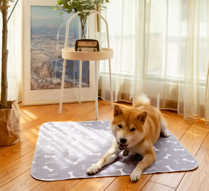 PupPad - Dogs Pee Instantly On This Pad