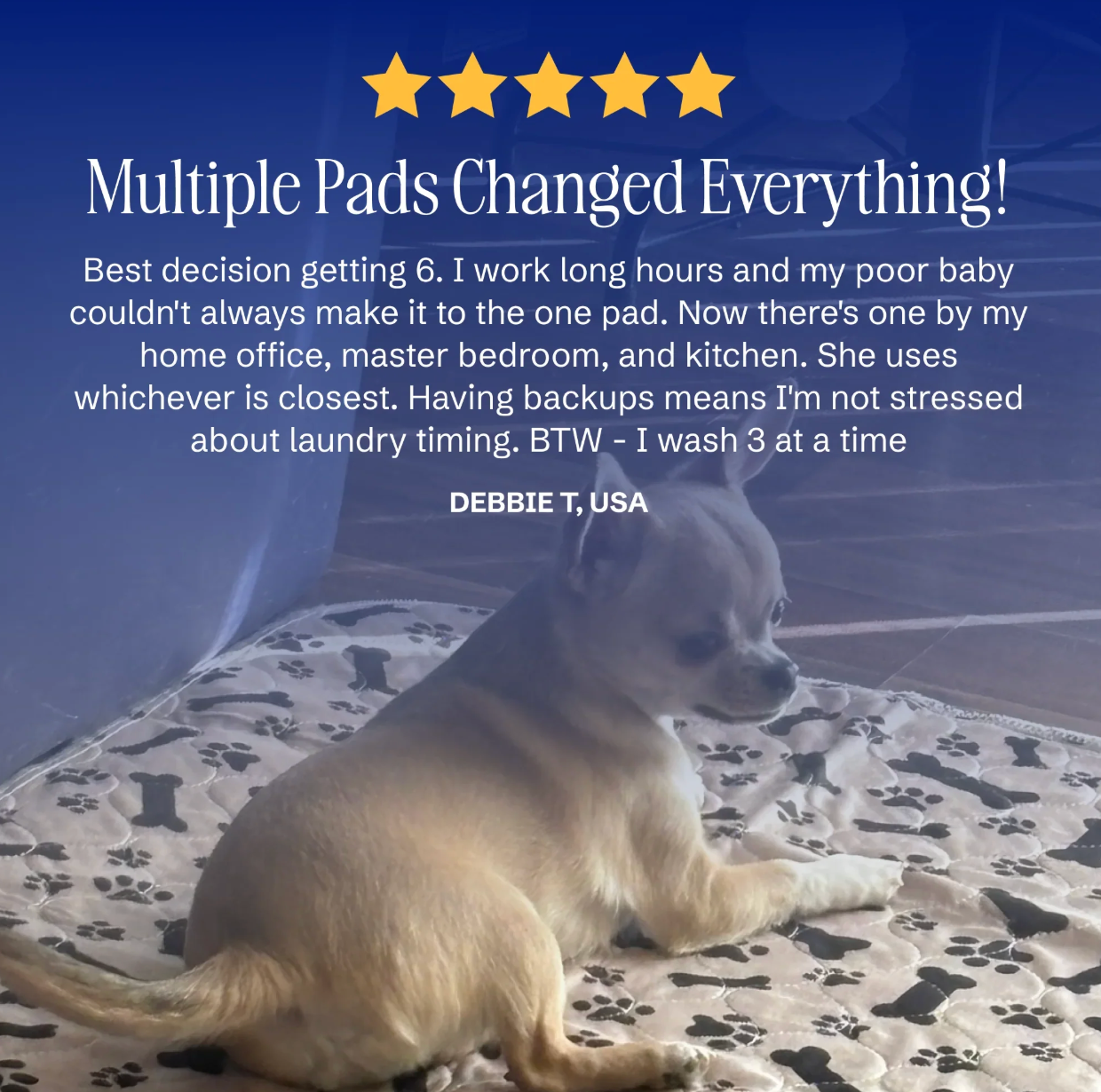 PupPad - Dogs Pee Instantly On This Pad