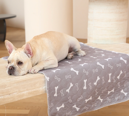 PupPad - Dogs Pee Instantly On This Pad