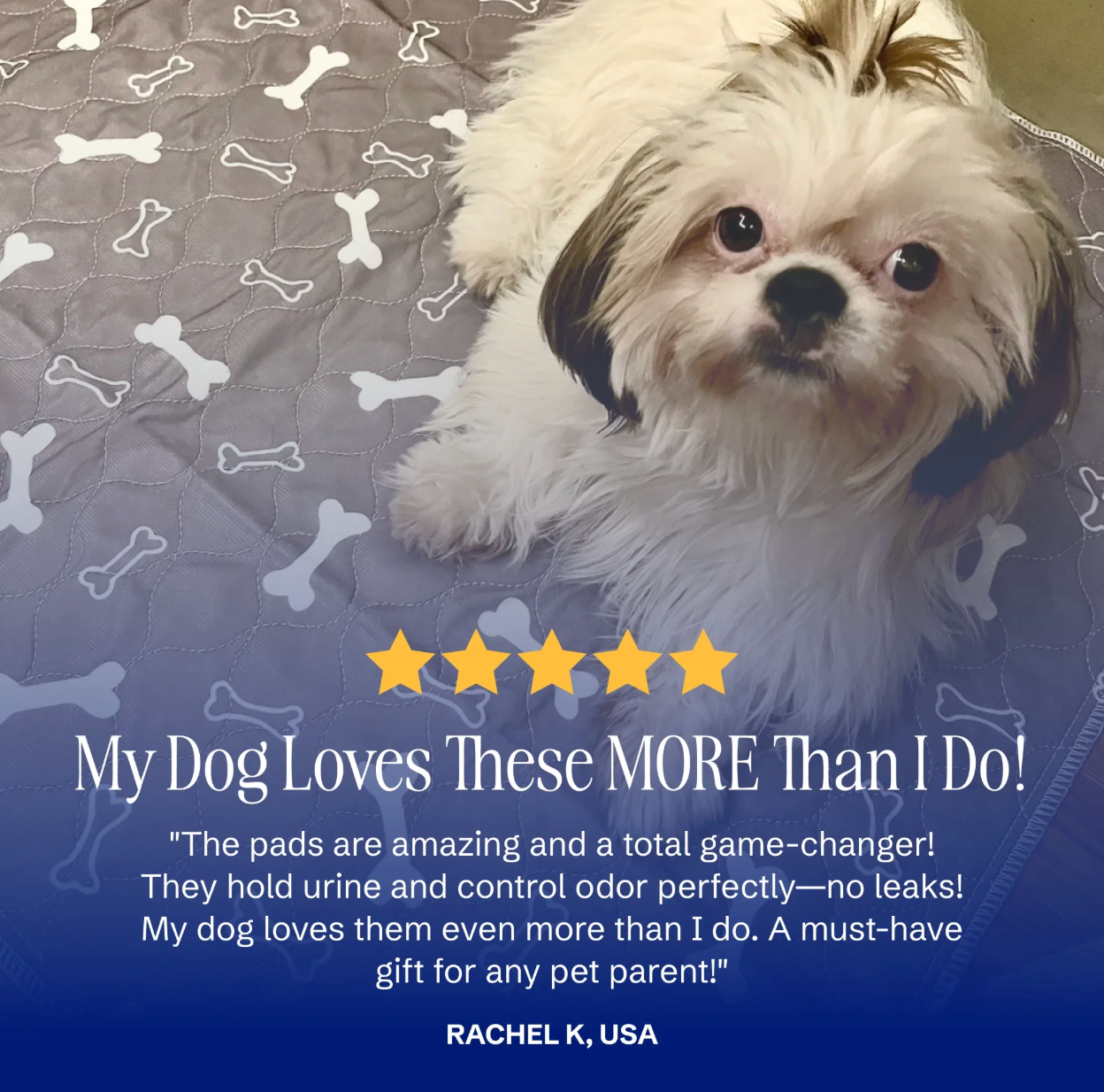 PupPad - Dogs Pee Instantly On This Pad